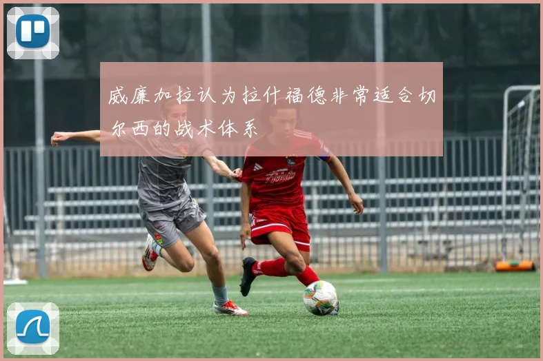 威廉加拉认为拉什福德非常适合切尔西的战术体系
