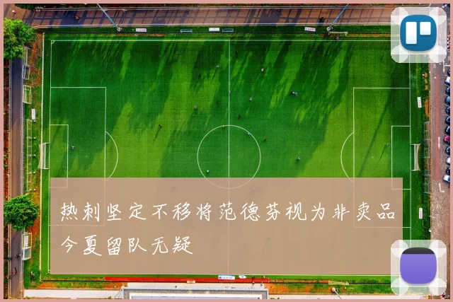 热刺坚定不移将范德芬视为非卖品今夏留队无疑